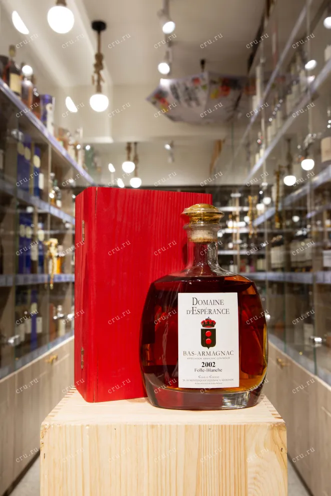 В магазине Крю Профи Bas-Armagnac Folle-Blanche Domaine d'Esperance 2002 0.7 л