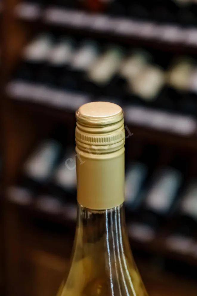 Пробка Castelfede Pinot Grigio Vigneti delle Dolomiti DOC Mont Mesr  2024 0.75 л