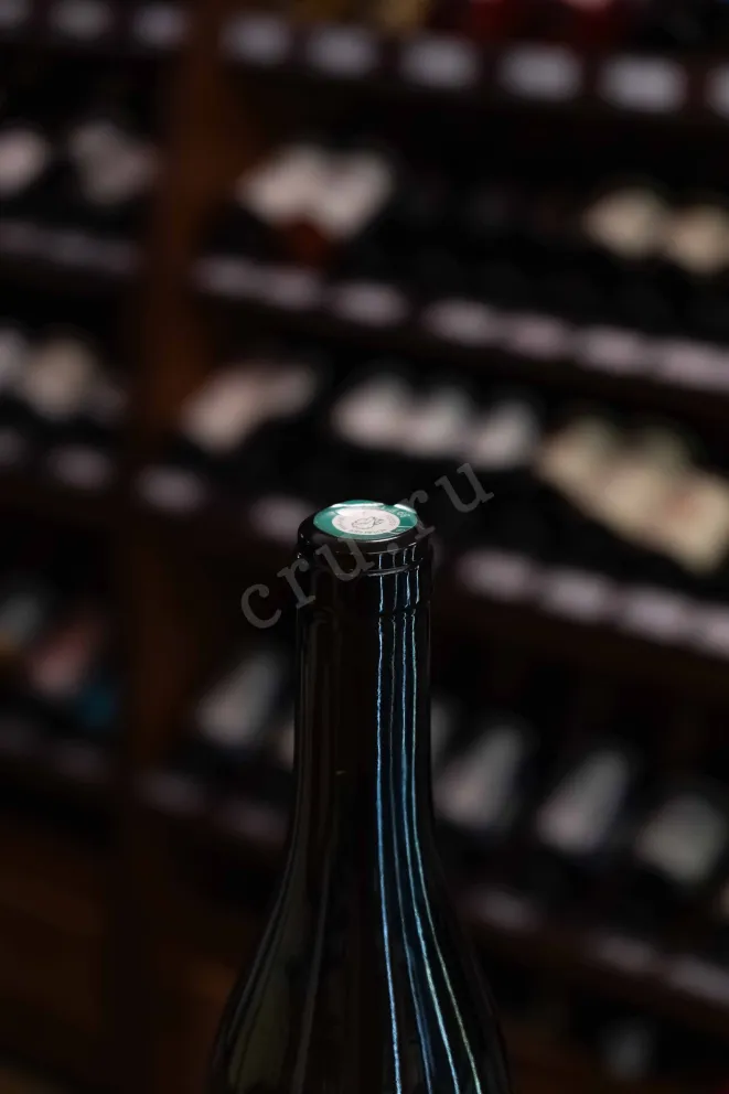Пробка Domaine Garnier & Fils Chablis Premier Cru Montmains 2022 0.75 л