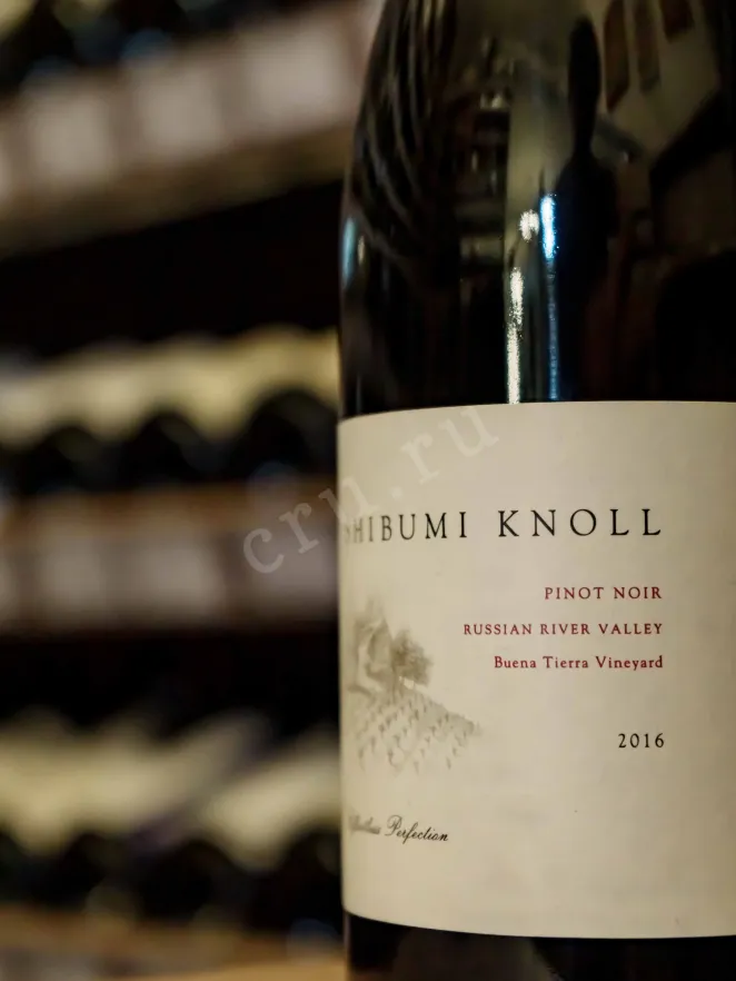 В магазине Крю Профи Shibumi Knoll Pinot Noir 2016 0.75 л