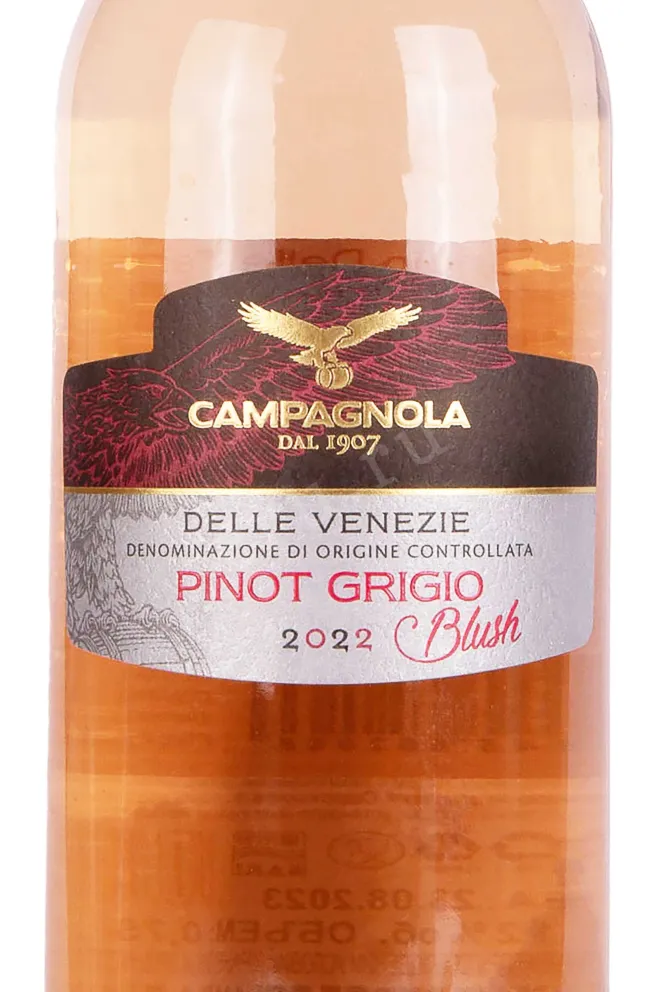 Этикетка Campagnola Pinot Grigio delle Venezie Blush 2022 0.75 л