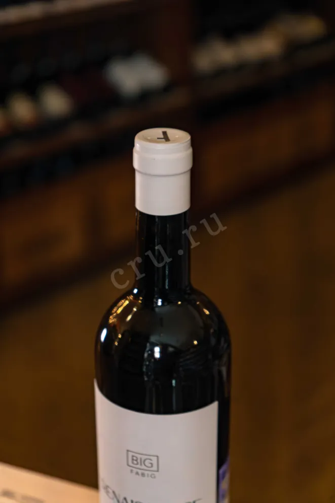 Пробка Fabig Big Sauvignon Blanc Renaissance 2021 0.75 л