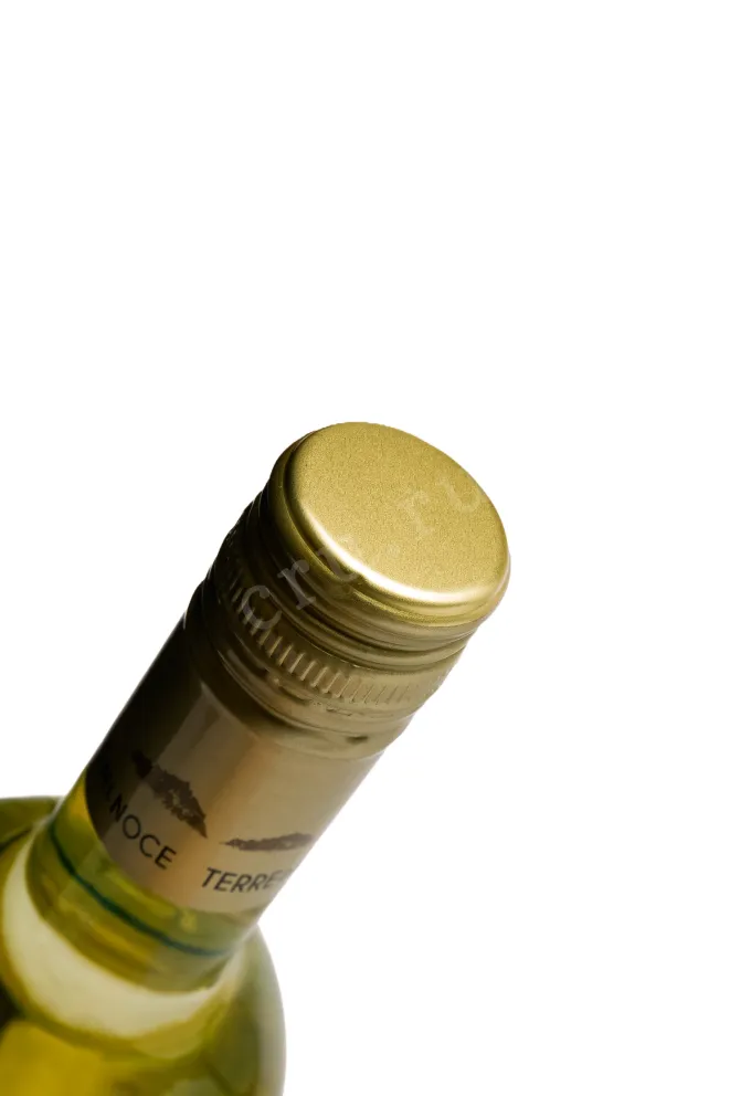 В магазине Крю Профи Mezzacorona Terre del Noce Pinot Grigio 2025 0.75 л