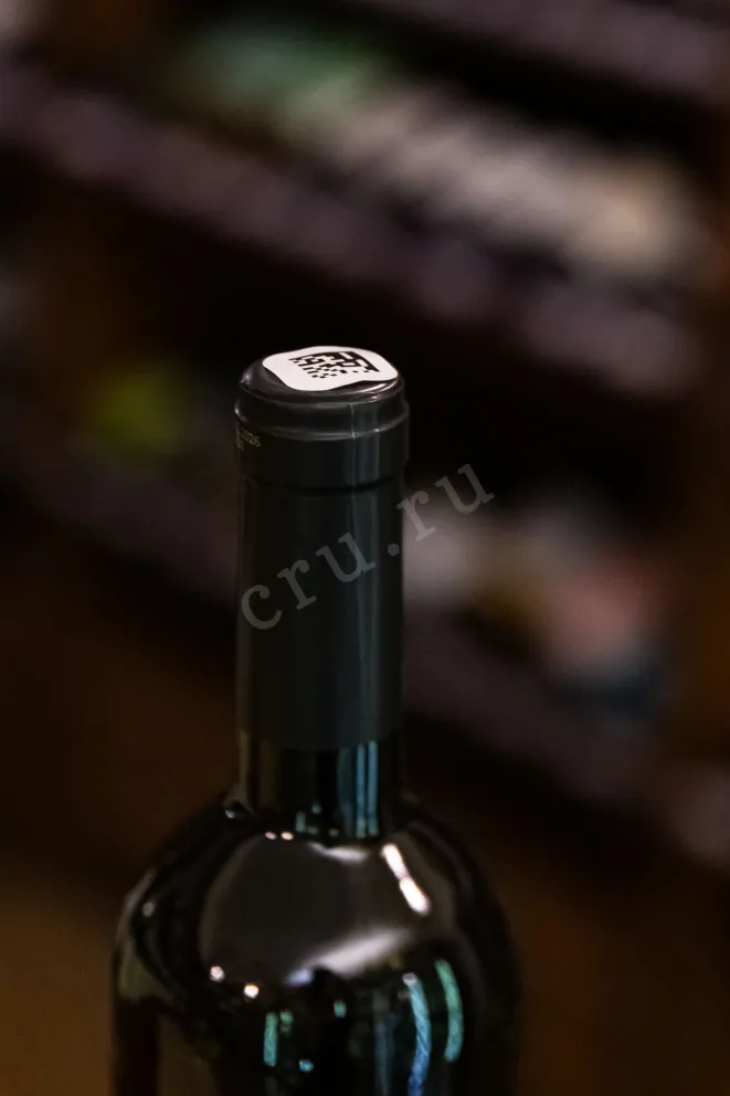 Пробка Chateau de Talu French Lessons Merlot 2023 0.75 л