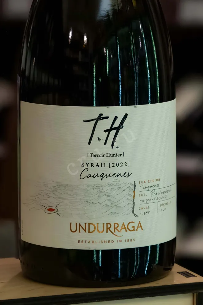 В магазине Крю Профи Undurraga TH (Terroir Hunter) Syrah DO Cauquenes  2022 0.75 л