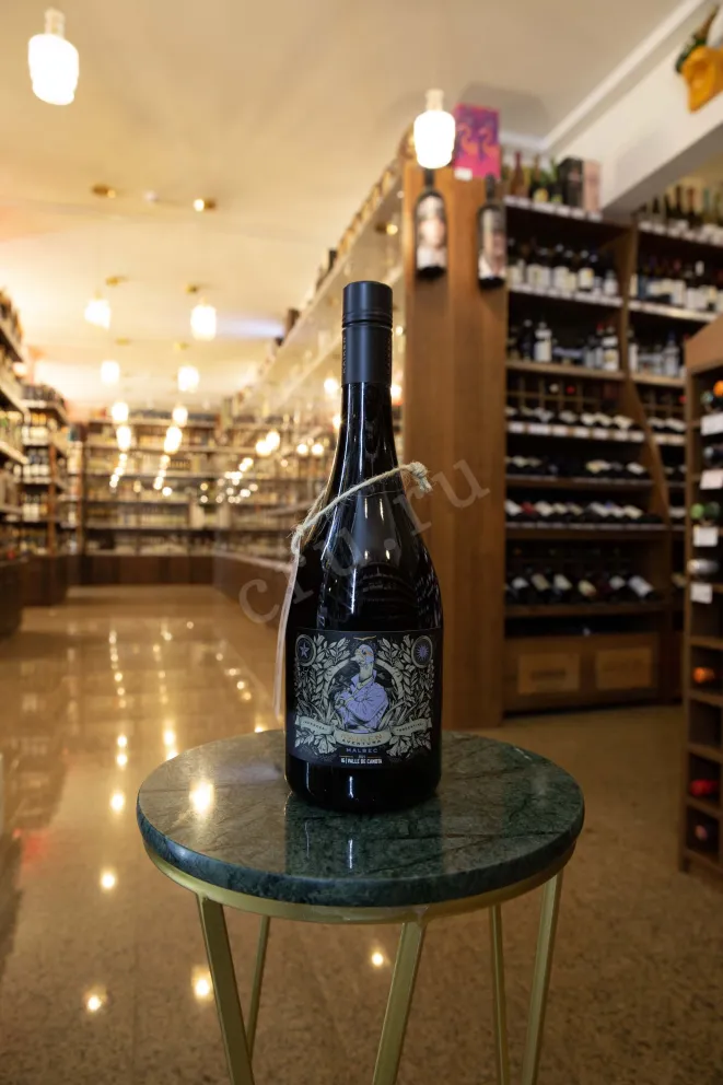 В магазине Крю Профи Kaiken Aventura Malbec Valle de Canota IG 2021 0.75 л