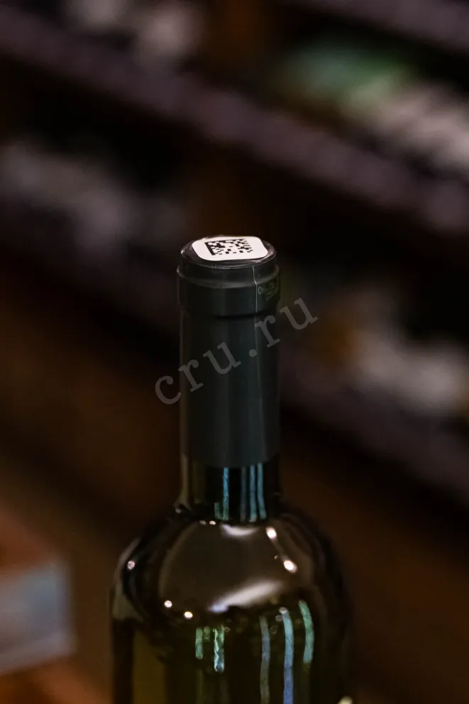 Пробка Chateau de Talu French Lessons Sauvignon 2024 0.75 л