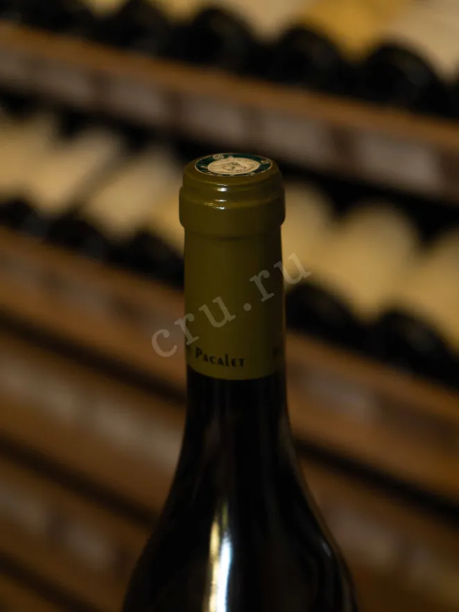 Пробка Philippe Pacalet Nuits Saint-George 2019 0.75 л