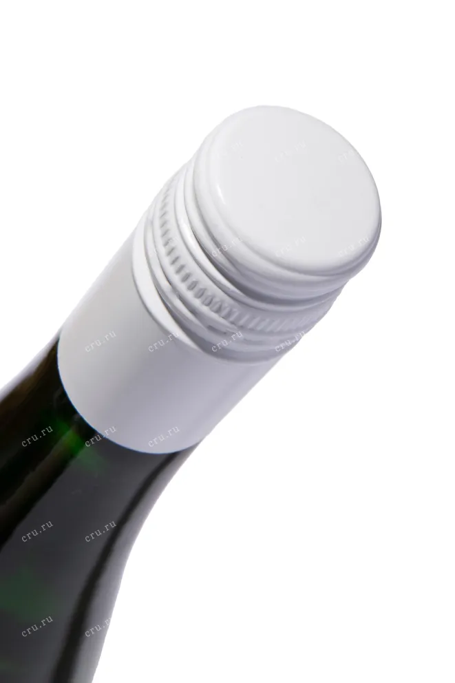 Пробка Santola DOC Vinho Verde 2024 0.75 л
