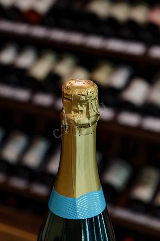 Пробка Dampt Freres Cremant de Bourgogne 2020 0.75 л
