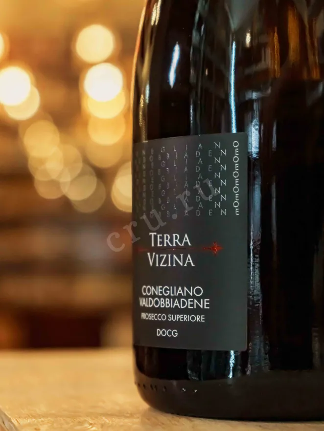 В магазине Крю Профи Terra Vizina Prosecco Superiore Conegliano Valdobbiadene Extra Dry 2023 0.75 л
