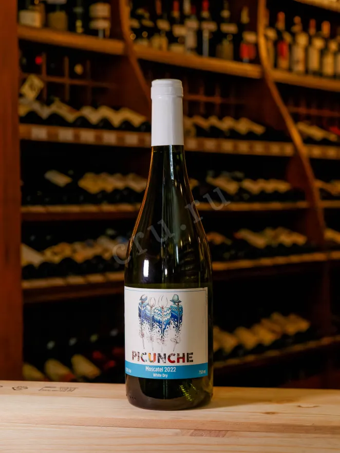 В магазине Крю Профи Picunche Moscatel Valle Del Itata 2022 0.75 л