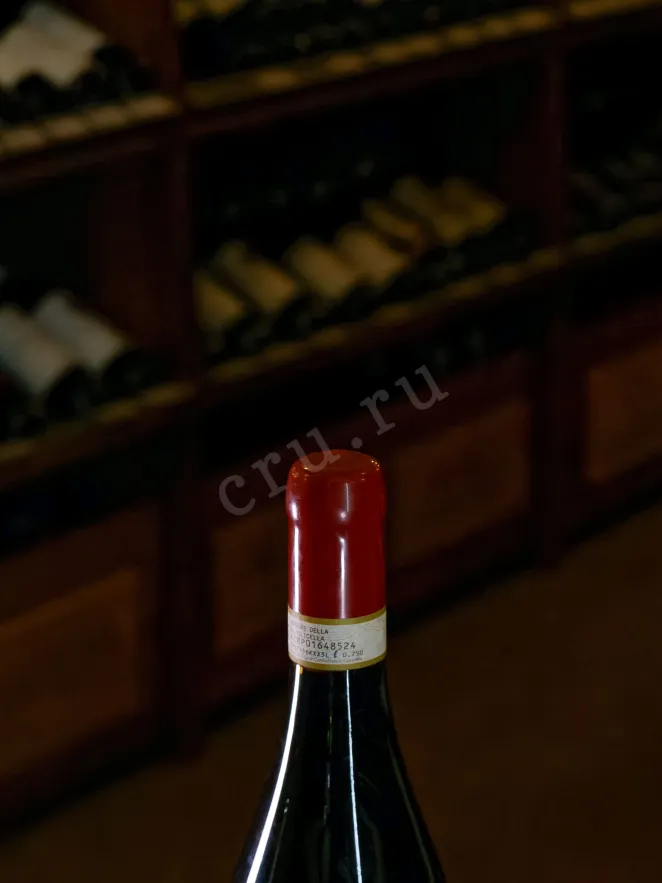Пробка Amarone della Valpolicella Il Costolo Vallena 2017 0.75 л