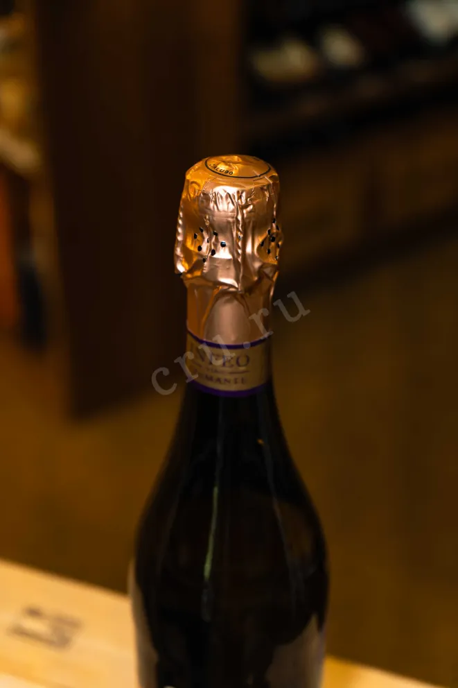 Пробка Infeo Brut 2023 0.75 л