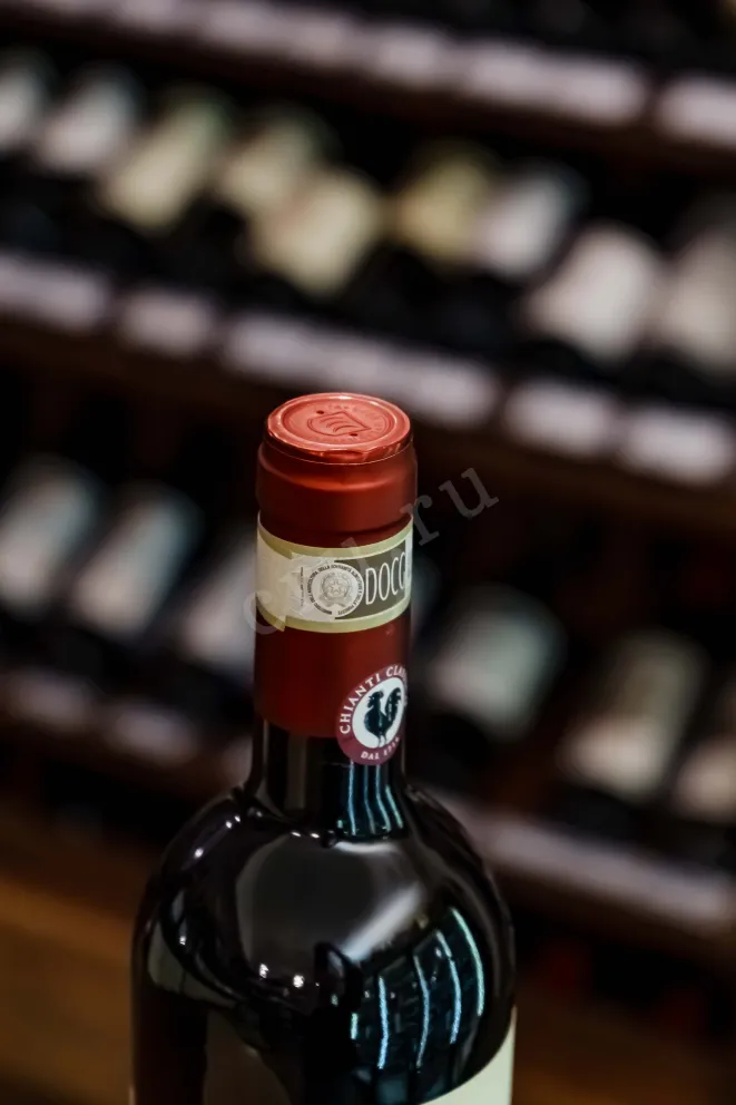 Пробка Castello della Paneretta Chianti Classico DOCG 2021 0.75 л