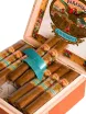 Коробка с сигарами Paradiso Quintessence Robusto