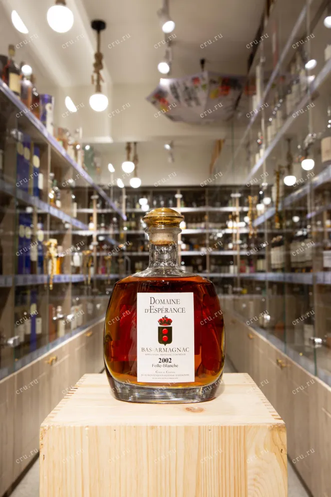 В магазине Крю Профи Bas-Armagnac Folle-Blanche Domaine d'Esperance 2002 0.7 л
