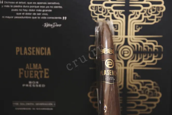 В магазине Крю Профи Plasencia Alma Fuerte Generacion V Salomon *10