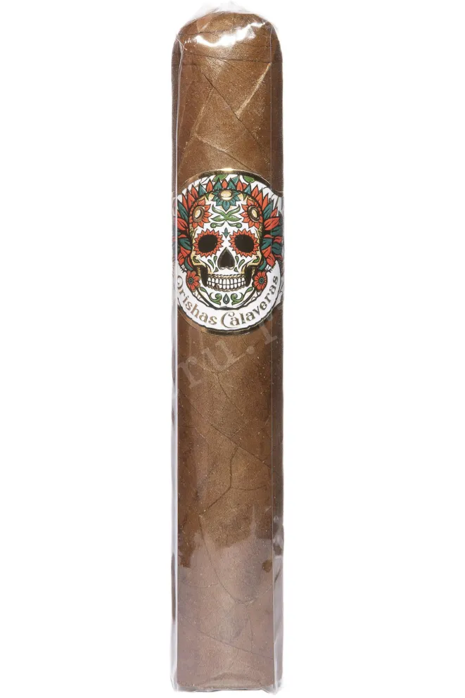 Сигары Orishas Calaveras 60*5 1/2 Gordo