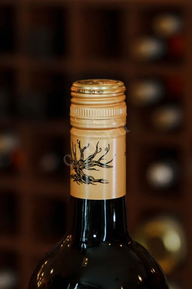 Пробка The Wanted Zin Zinfandel 2023 0.75 л