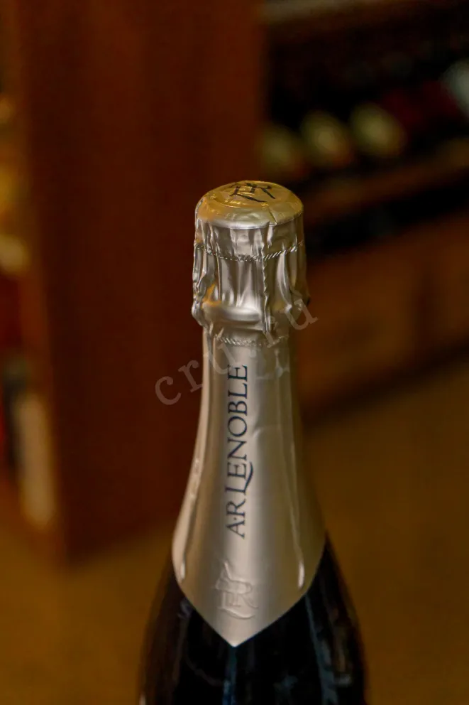 Пробка AR Lenoble Blanc de Noirs Bisseuil Premier Cru Brut Millesime gift box 2013 0.75 л