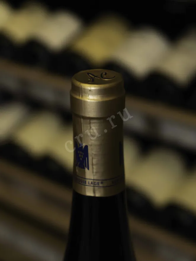 Пробка A. Christmann Konigsbacher Olberg-Hart Riesling GG 2020 0.75 л