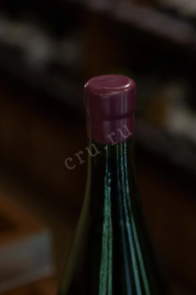 Пробка Merlot Bogovich 2020 0.75 л