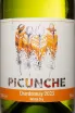 Этикетка Picunche Chardonnay Central Valley 2023 0.75 л