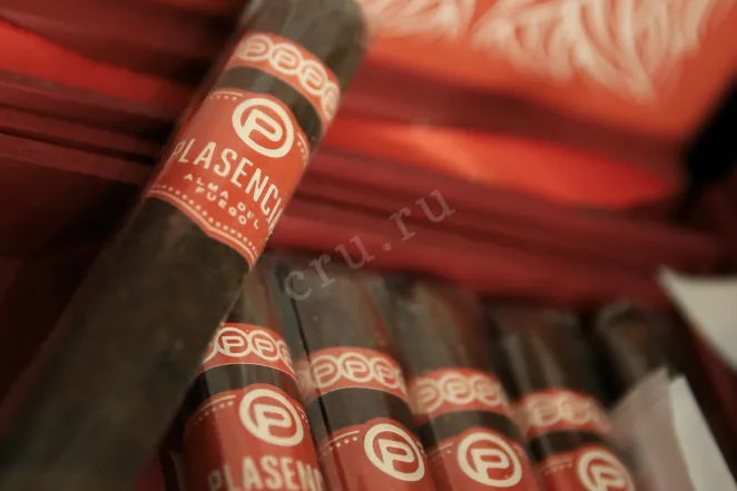 В магазине Крю Профи Plasencia Alma Del Fuego Concepcion Toro *10