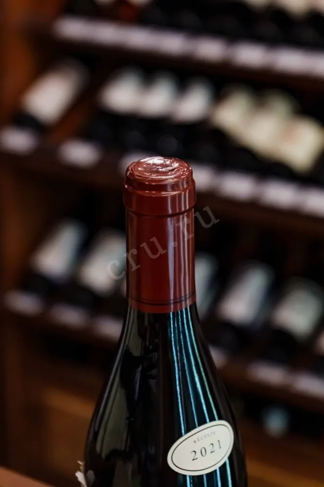 Пробка Albert Sounit Mercurey 1-er Cru Clos Des Montaigus 2021 0.75 л
