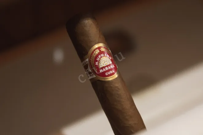 В магазине Крю Профи H. Upmann Half Corona