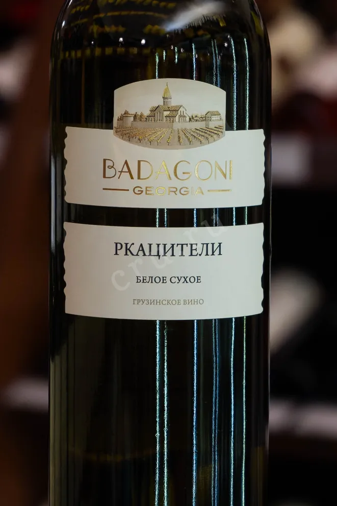 В магазине Крю Профи Badagoni Rkatsiteli 2022 0.75 л