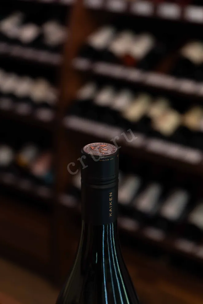 Пробка Kaiken Ultra Chardonnay 2021 0.75 л