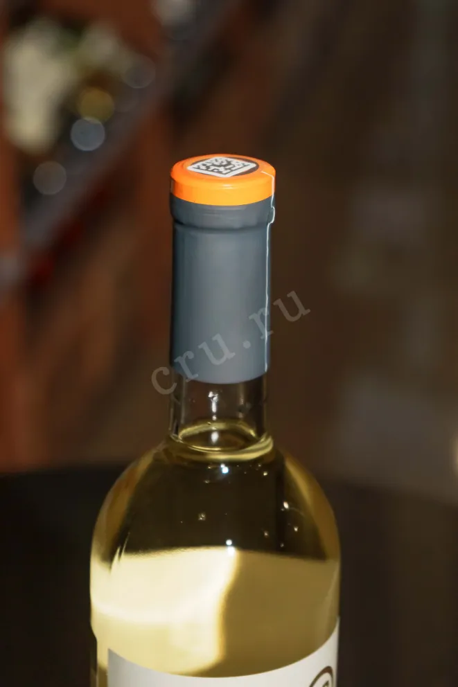 Пробка ZB Wine White 2024 0.75 л