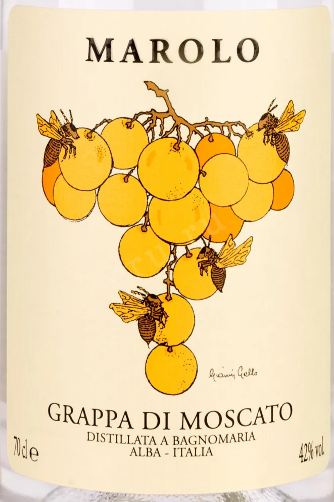 Этикетка Marolo Grappa di Moscato gift box 2021 0.7 л