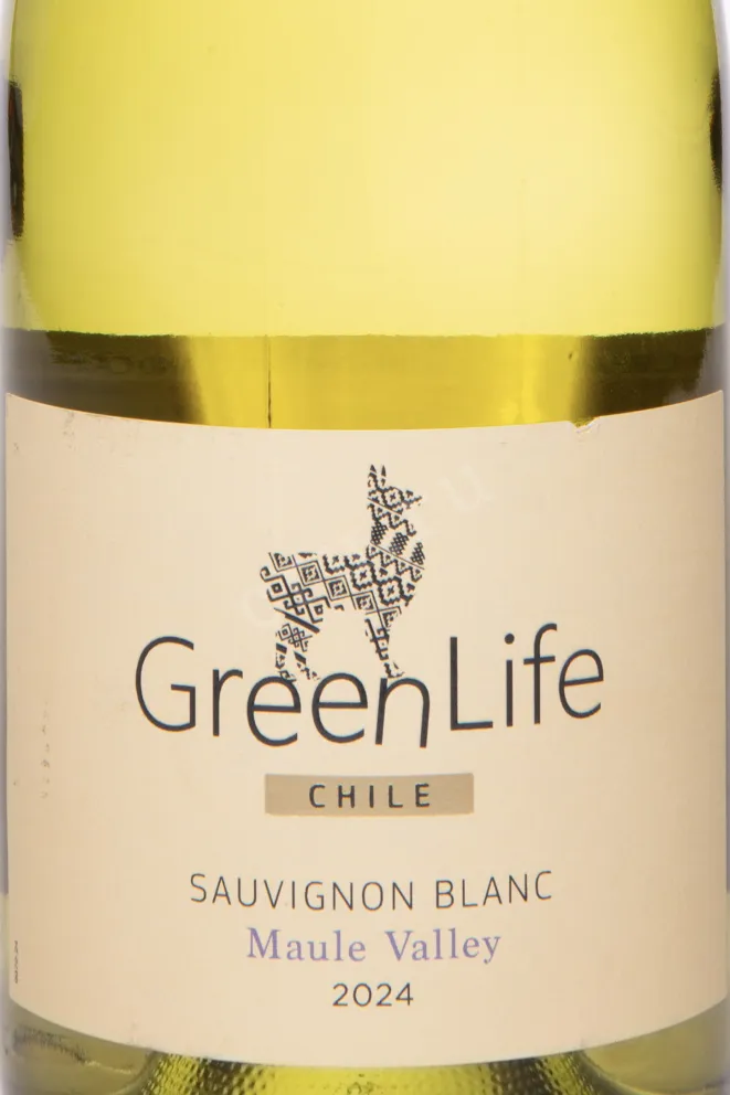 Этикетка GreenLife Sauvignon Blanc Maule Valley 2024 0.75 л