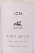 Этикетка Pinot Grigio Terre Siciliane Epicuro 2023 0.75 л