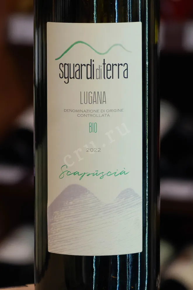 В магазине Крю Профи Sguardi di Terra Scapuscia Lugana DOC 2022 0.75 л