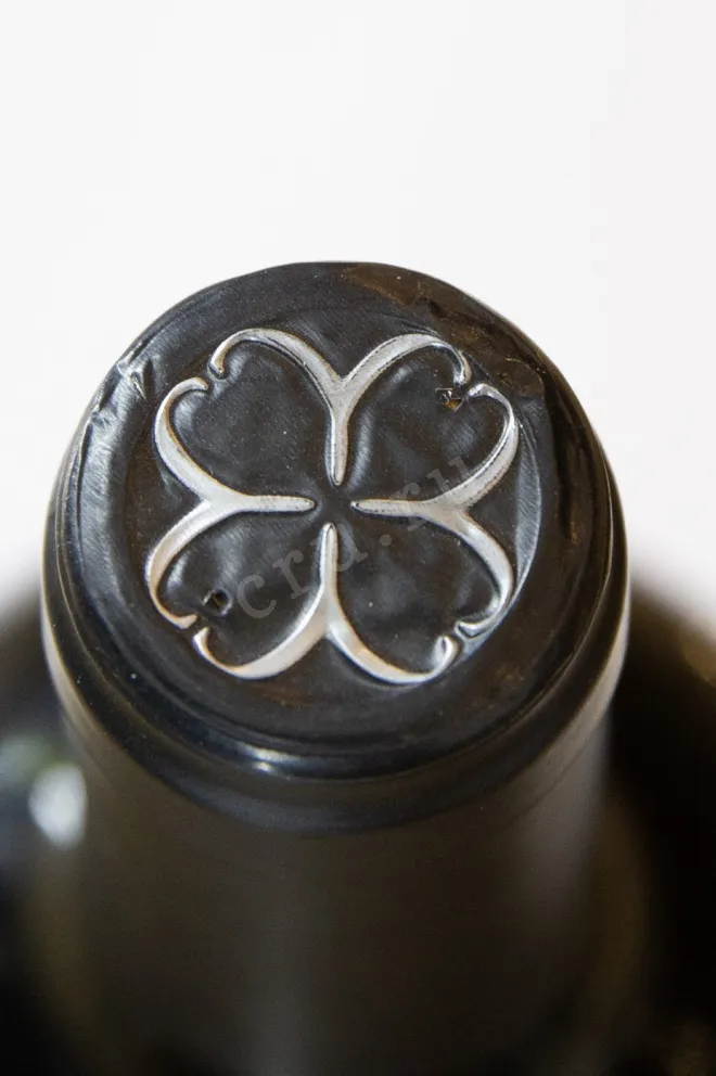 Пробка Bramare Lujan de Cuyo Cabernet Sauvignon 2016 0.75 л