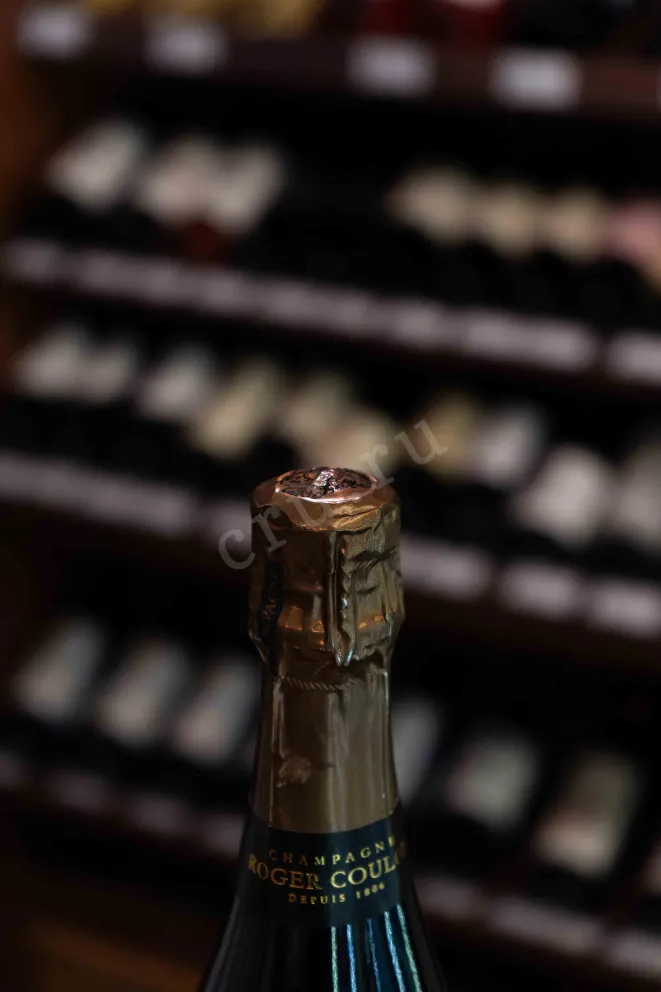 Пробка Roger Coulon l'Hommee Premier Cru 2019 0.75 л