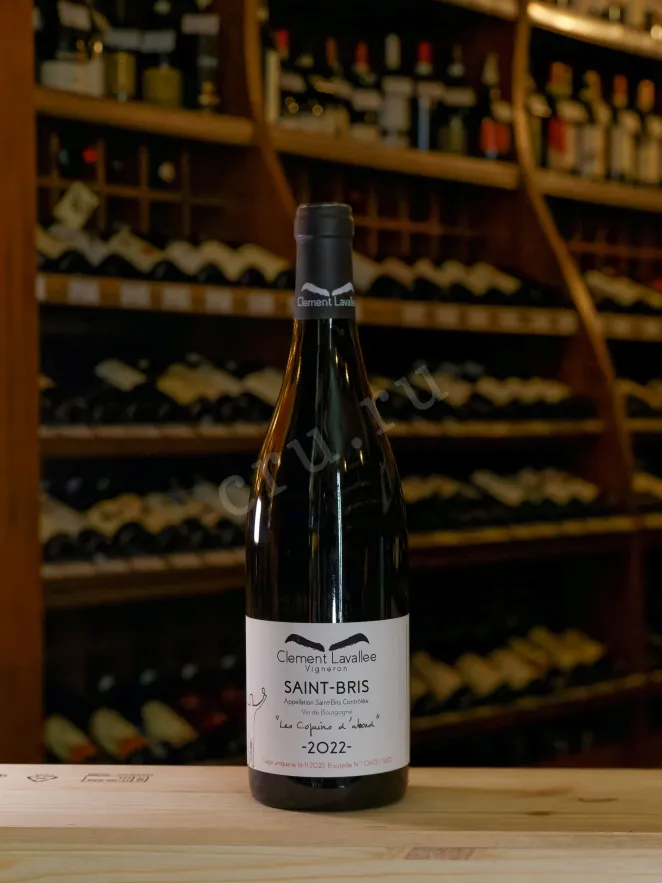 В магазине Крю Профи Clement Lavallee Les Copains d abord Saint-Bris 2022 0.75 л