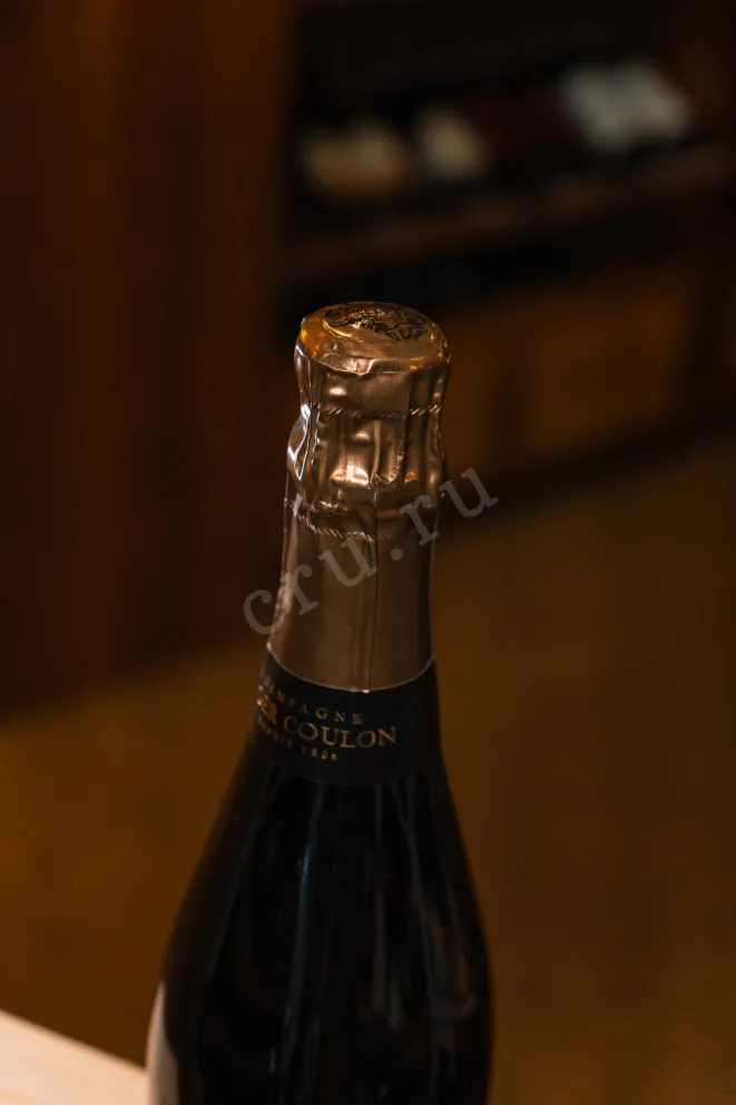 Пробка Roger Coulon l'Hommee Premier Cru 2019 0.75 л