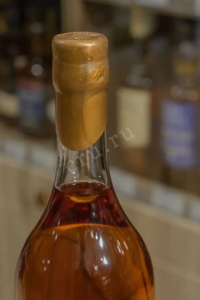 Пробка Daneil Bouju Grande Champagne Premier Cru De Cognac in gift box 1992 0.7 л