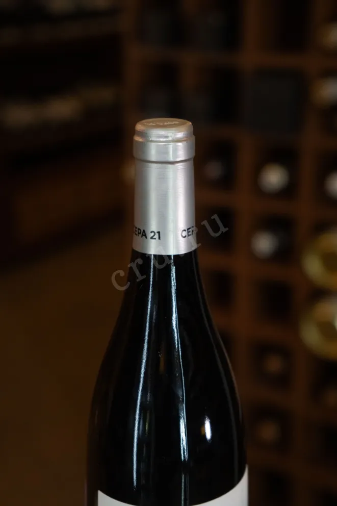 Пробка Cepa 21 Ribera Del Duero 2022 0.75 л