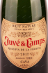 Игристое вино Juve y Camps Cava Gran Reserva de la Familia Brut Natur  1.5 л