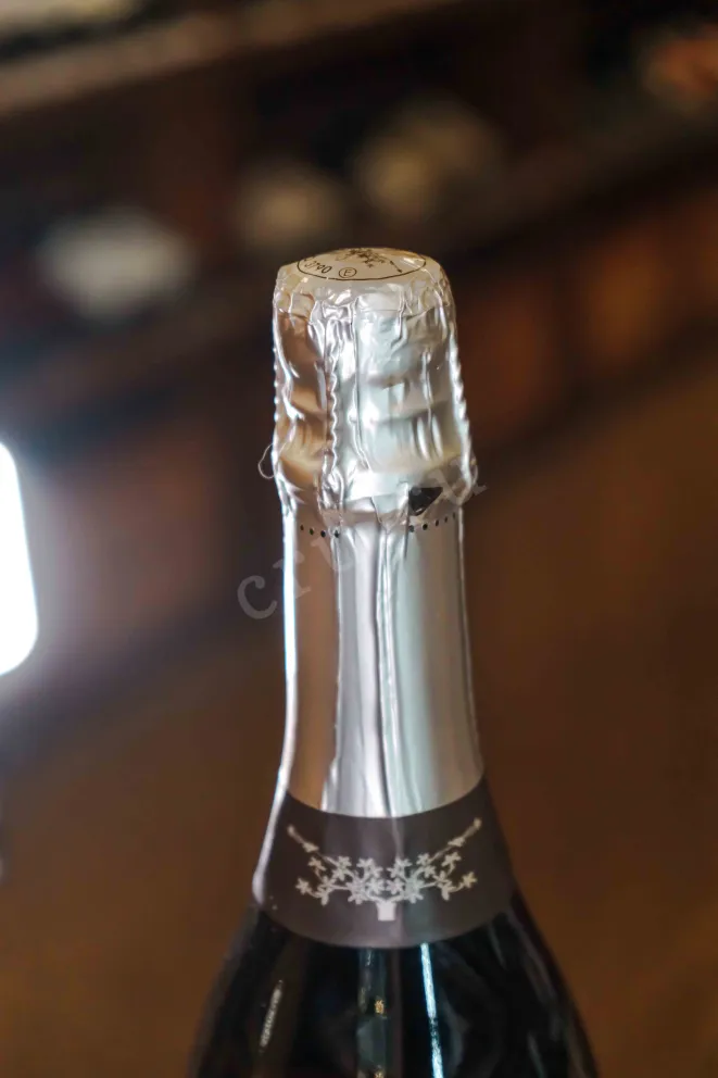 Пробка Paltrinieri LaRiserva Lambrusco di Sorbara 0.75 л