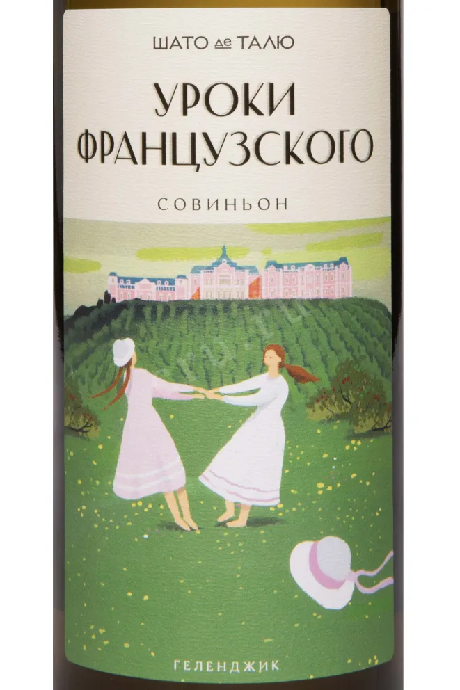 Этикетка Chateau de Talu French Lessons Sauvignon 2024 0.75 л