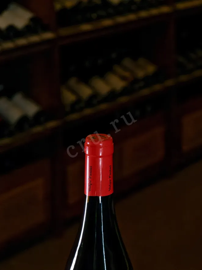 Пробка Togliano Merlot Volpe Pasini 2016 0.75 л