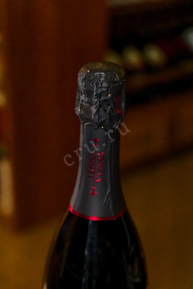 Пробка Prosecco Superiore Conegliano Valdobbiadene Extra Dry Terra Vizina in gift box 2021 0.75 л