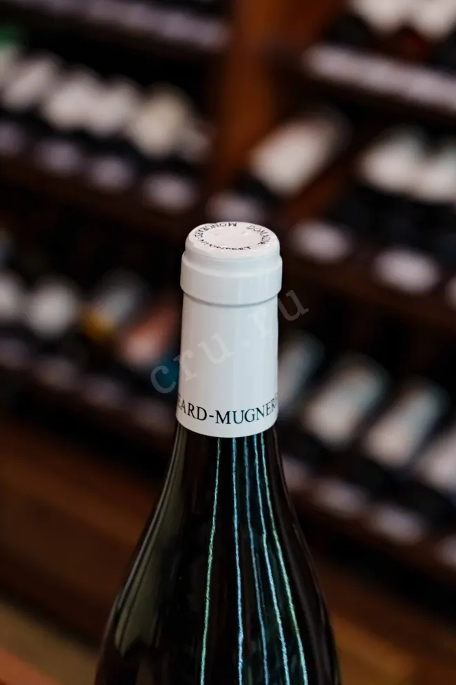Пробка Domaine Mongeard-Mugneret Le Libertin Bourgogne Passe 2021 0.75 л